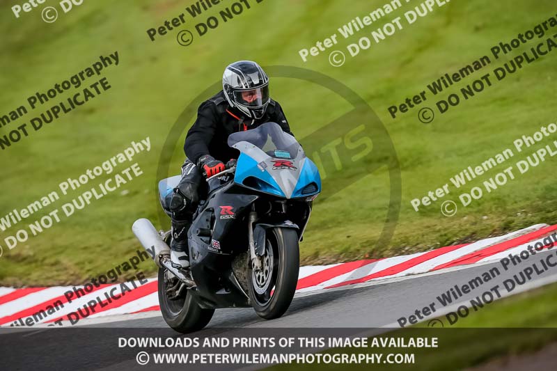 Oulton Park 21st March 2020;PJ Motorsport Photography 2020;anglesey;brands hatch;cadwell park;croft;donington park;enduro digital images;event digital images;eventdigitalimages;mallory;no limits;oulton park;peter wileman photography;racing digital images;silverstone;snetterton;trackday digital images;trackday photos;vmcc banbury run;welsh 2 day enduro